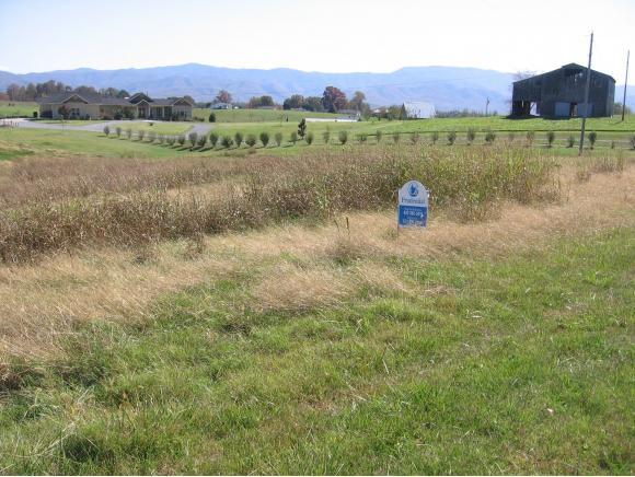 TBD Mae Mckee Rd - Photo 1