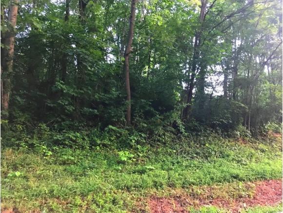 2340 Old Tusculum Rd. - Photo 1