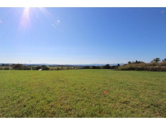TBD Bowmantown Road - Photo 1
