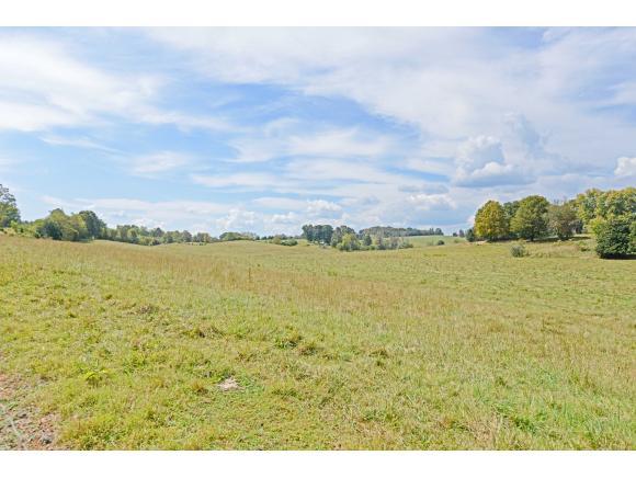 1195 Old Stage Rd - Photo 1