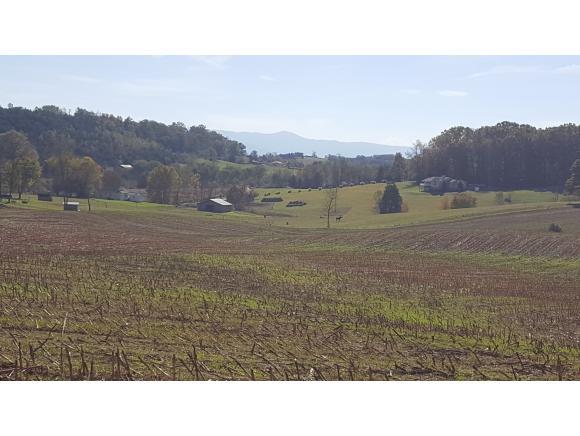 1825 Happy Valley Road - Photo 1
