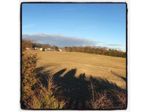 000 W. Andrew Johnson Highway - Photo 1