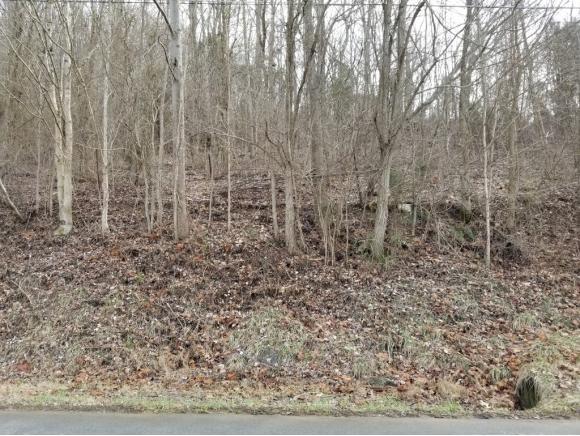TBD Rodefer Hollow Road - Photo 1