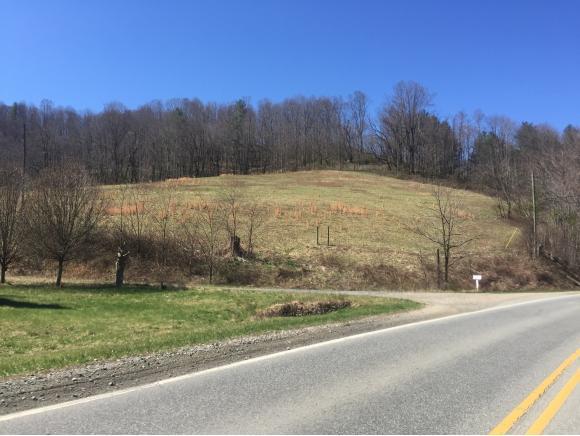 TBD Us Hwy 421 South - Photo 1