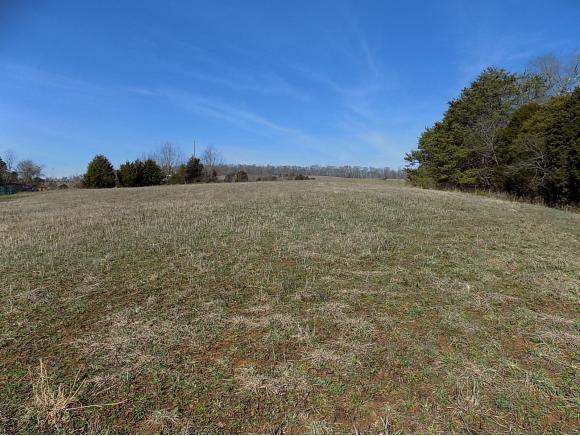 tbd Old Stage Road - Photo 1