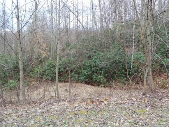 LOT 8 Pfeiffer Ridge Road - Photo 1