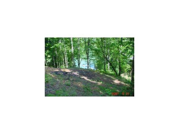 Lot 23 Pine Point Circle - Photo 1
