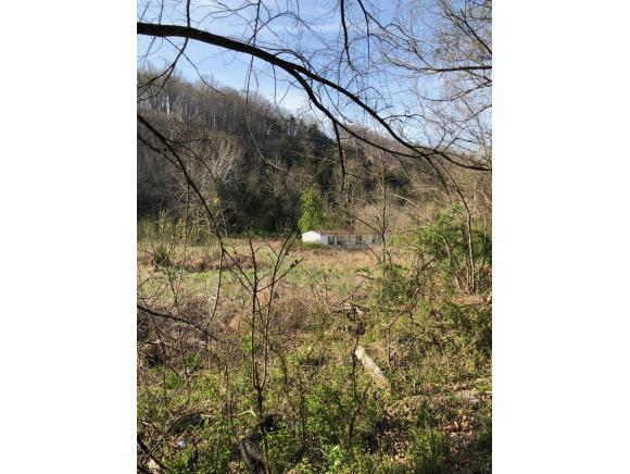 463 Gottland Shoals Road - Photo 1