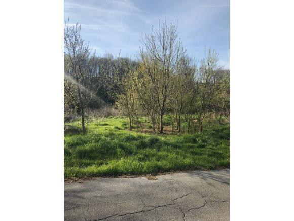 515 Gottland Shoals Road - Photo 1