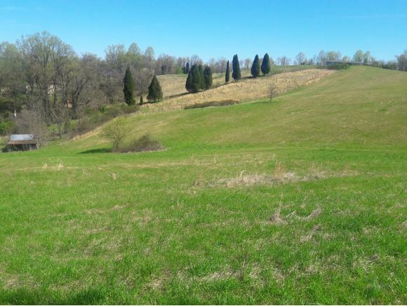 TBD Weaver Pike - Photo 1