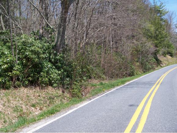 000 Trim Branch Road - Photo 1