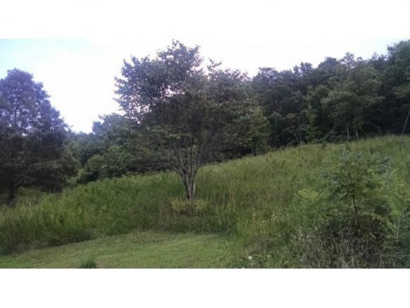 118 Forest Road - Photo 1