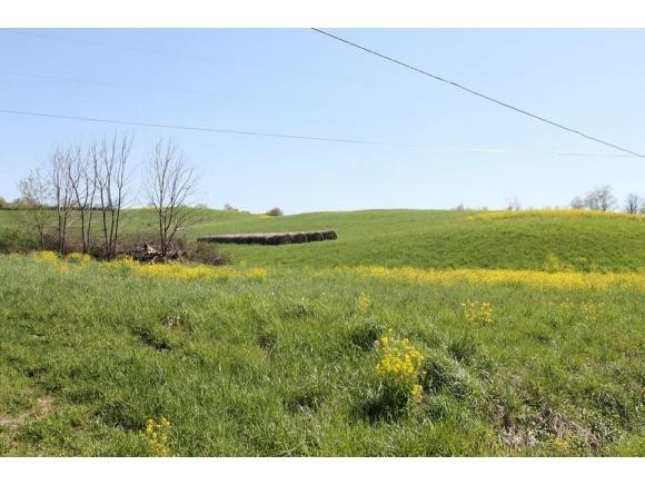 TRACT 2 Repass Road - Photo 1