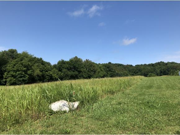 3000 Highway 75 - Photo 1