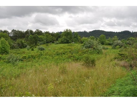 TBD Sugar Run Rd. - Photo 1