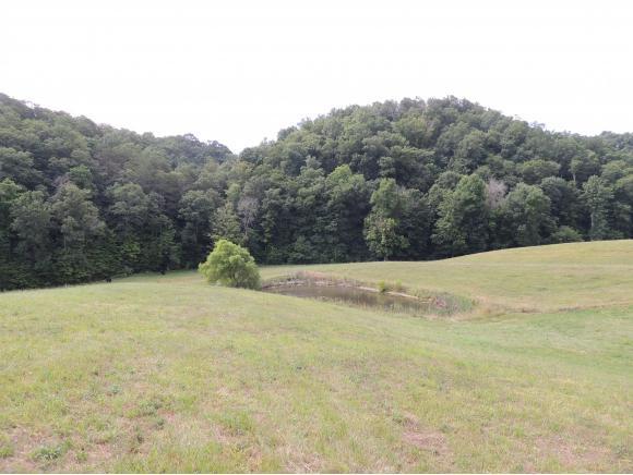 00 Beech Grove Road - Photo 1