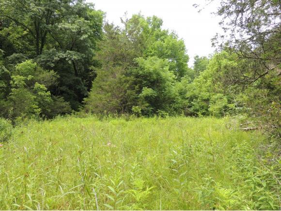 000 War Creek Road - Photo 1