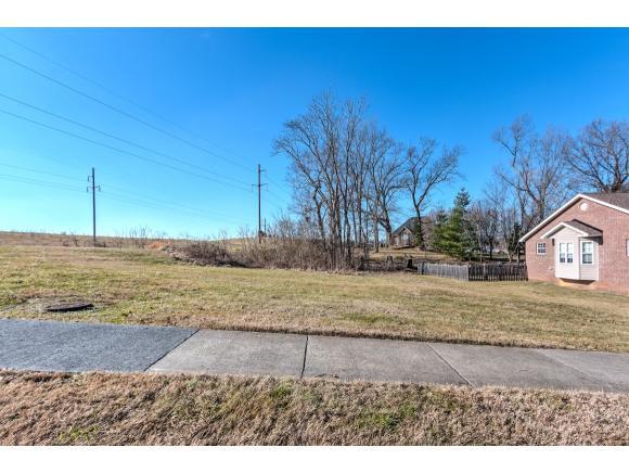 Lot 1 Lee Carter Drive - Photo 1