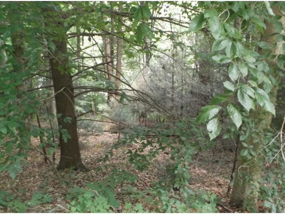 TR 5 Strawberry Lane - Photo 1
