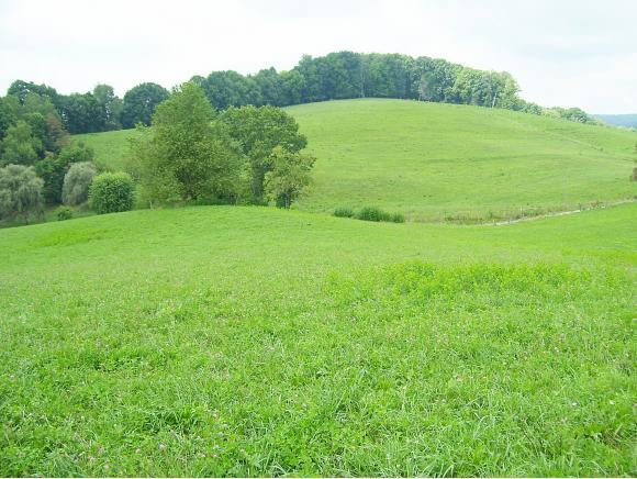 16515 Childress Hollow Road - Photo 1