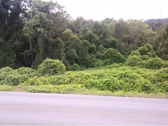 TBD Bill Garland Rd. - Photo 1