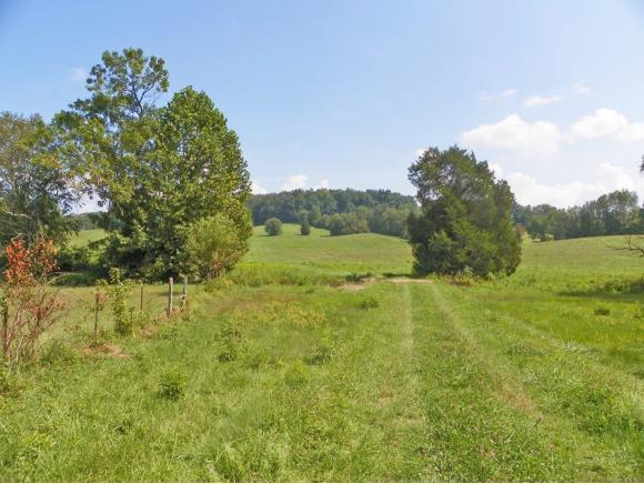 TBD Sinking Creek Road - Photo 1