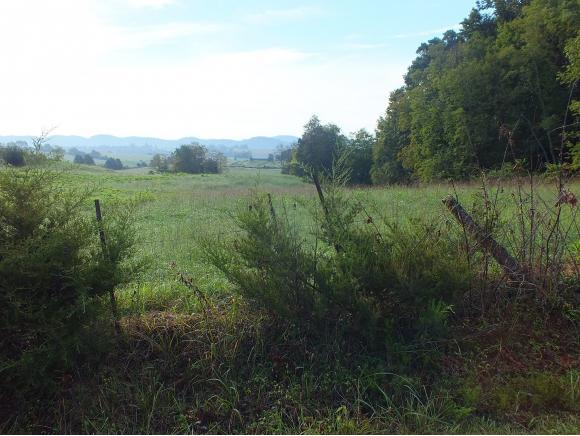 0 Caves Springs Rd - Photo 1