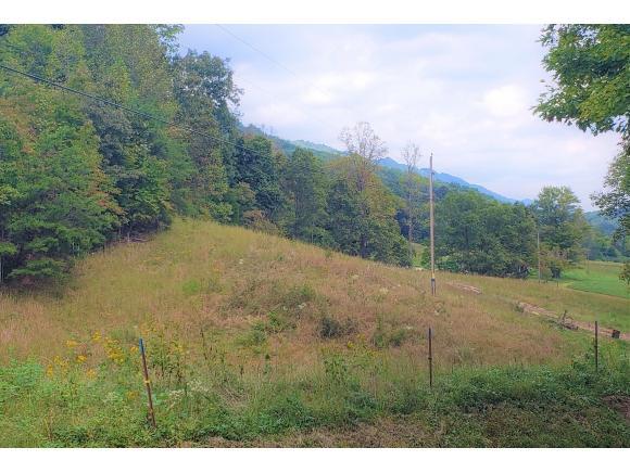 000 Fishers Creek Rd - Photo 1