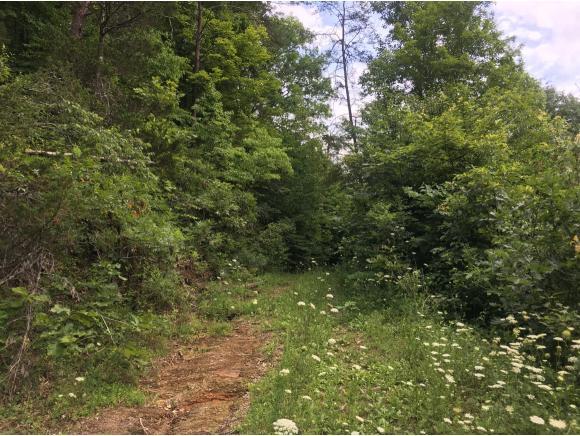 0 Lester Cope Road - Photo 1