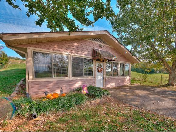 440 Bacon Branch Road - Photo 1