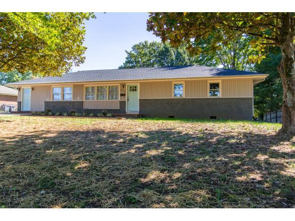 613 Norris Avenue - Photo 1