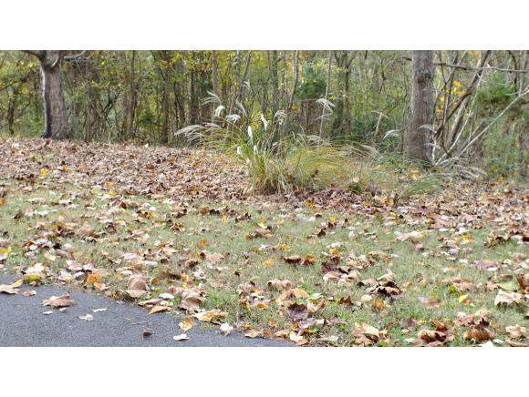 0 Surgoinsville Creek Rd - Photo 1