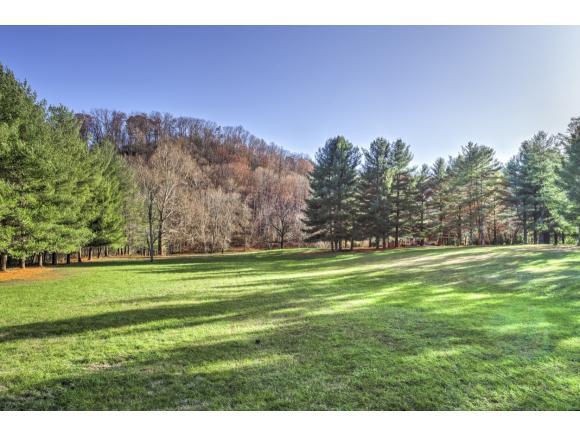 TBD Dodge Drive - Photo 1