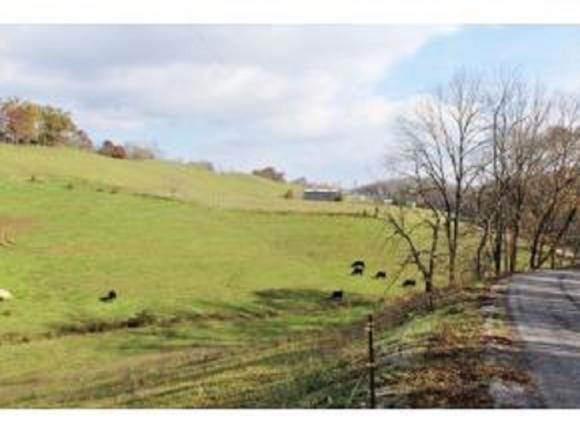 TBD Long Town Road - Photo 1