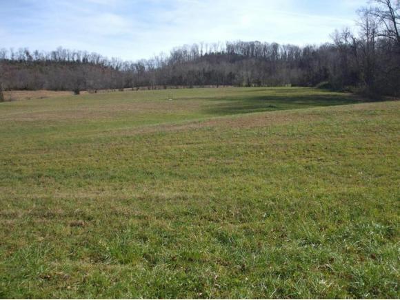 TBD Old Snapps Ferry Rd. - Photo 1