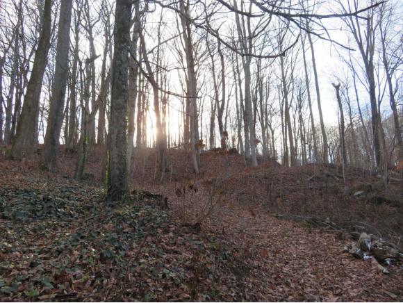 0 Knobb Hill Rd - Photo 1