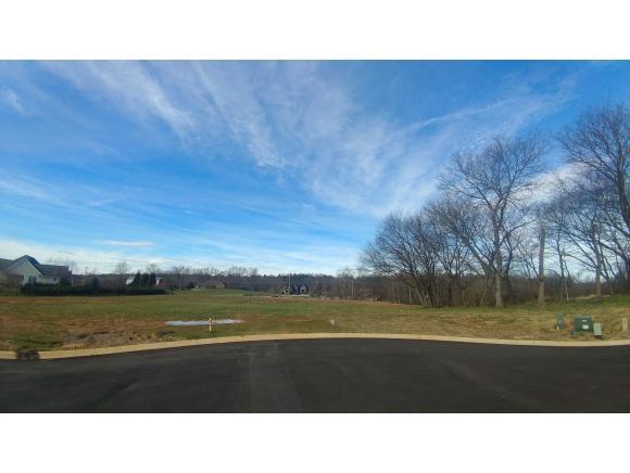 Lot 18 Conestoga Pass - Photo 1