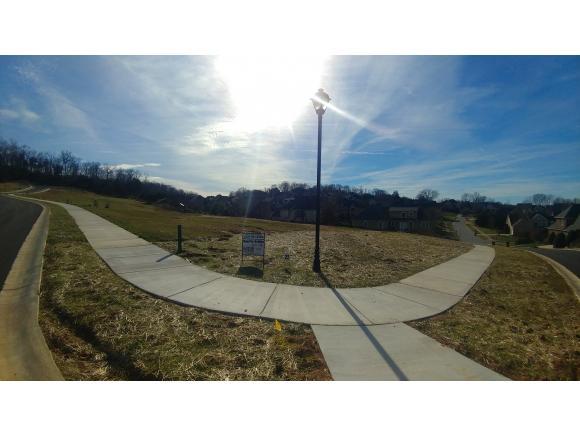 Lot 22 Conestoga Pass - Photo 1