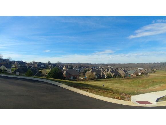 Lot 27 Conestoga Pass - Photo 1