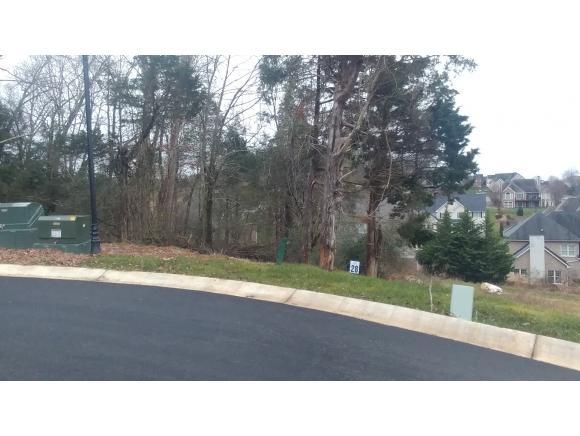 Lot 28 Conestoga Pass - Photo 1