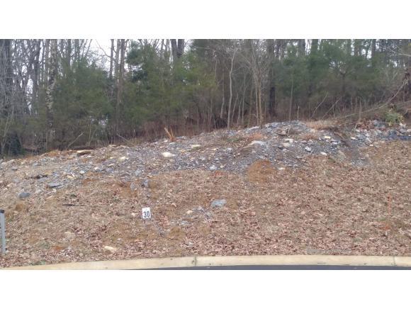 Lot 30 Conestoga Pass - Photo 1