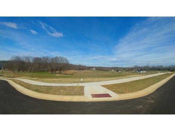 Lot 37 Conestoga Pass - Photo 1