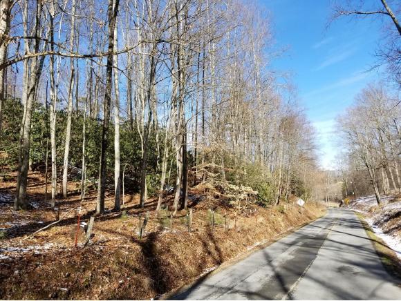Lot #4 Powder Branch Rd - Photo 1