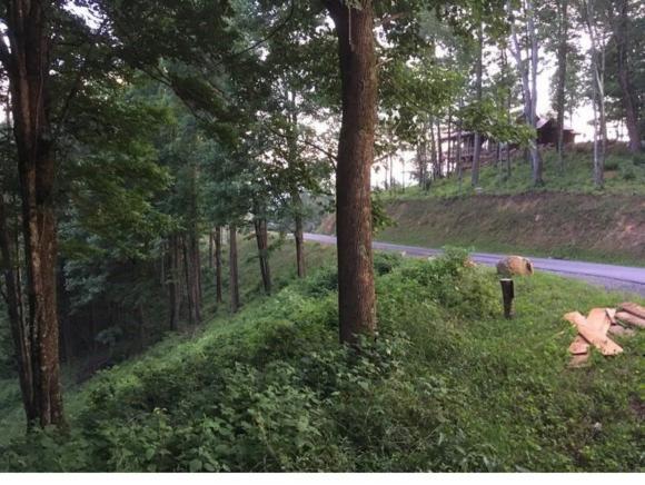 C72 Eagles Nest Trail - Photo 1