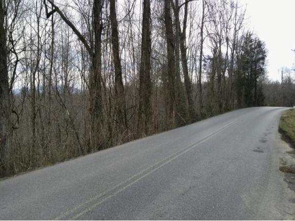 TBD Green Pond Rd - Photo 1