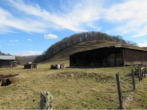 TBD Town Springs Road - Photo 1
