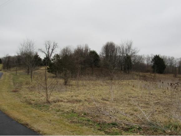 TBD Berry Creek Dr. - Photo 1