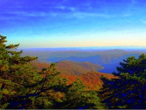 17,18,22 Eagles Nest - Photo 1
