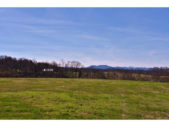 Lot 20 Holly Creek Road - Photo 1