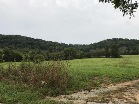 TBD Babbs Mill Road - Photo 1